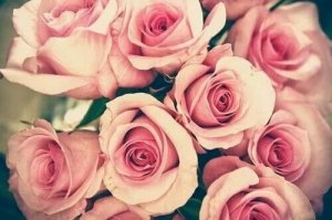 image-bdaceeb9e09ab6e9e300103bf1ad25da4f7cda9506a1f687f5d5e2d39140818e-V