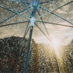 tumblr_ld9o9r17yk1qew0sco1_500